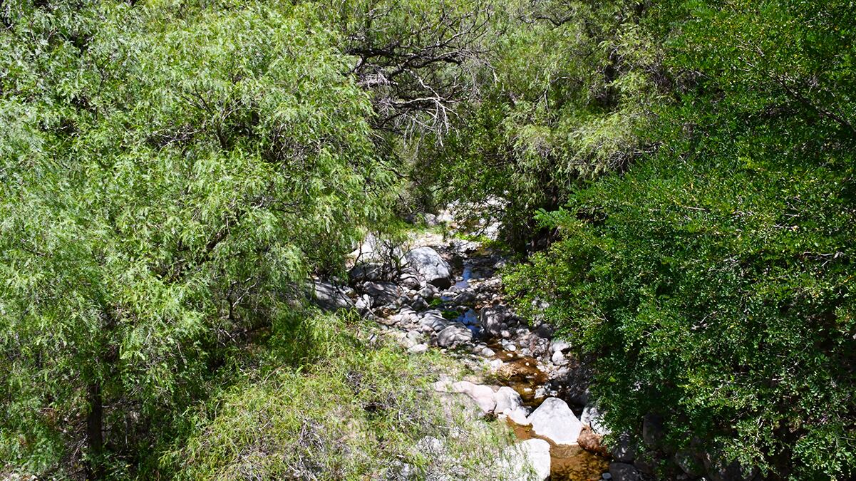 Camino al Mirador del Suyuque.