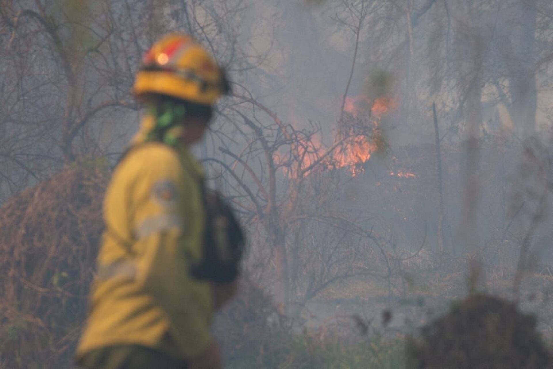 Incendio en Islas del Delta: Brigadistas de Entre Ríos y Santa Fé unen fuerzas para combatir el fuego