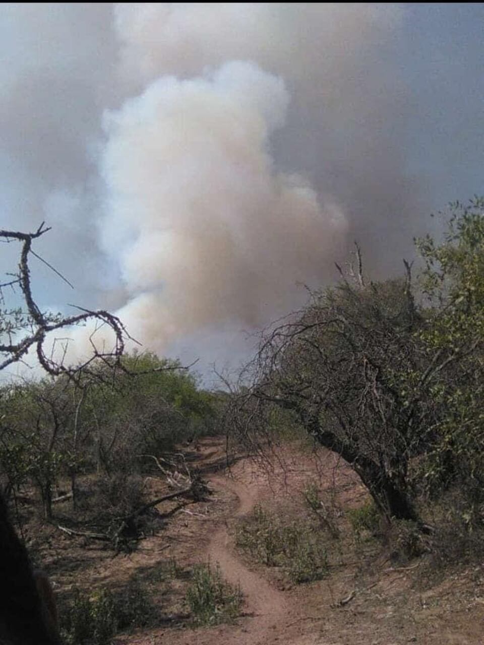 Los habitantes de la zona denuncian que los Bomberos no pueden afrontar los incendios.