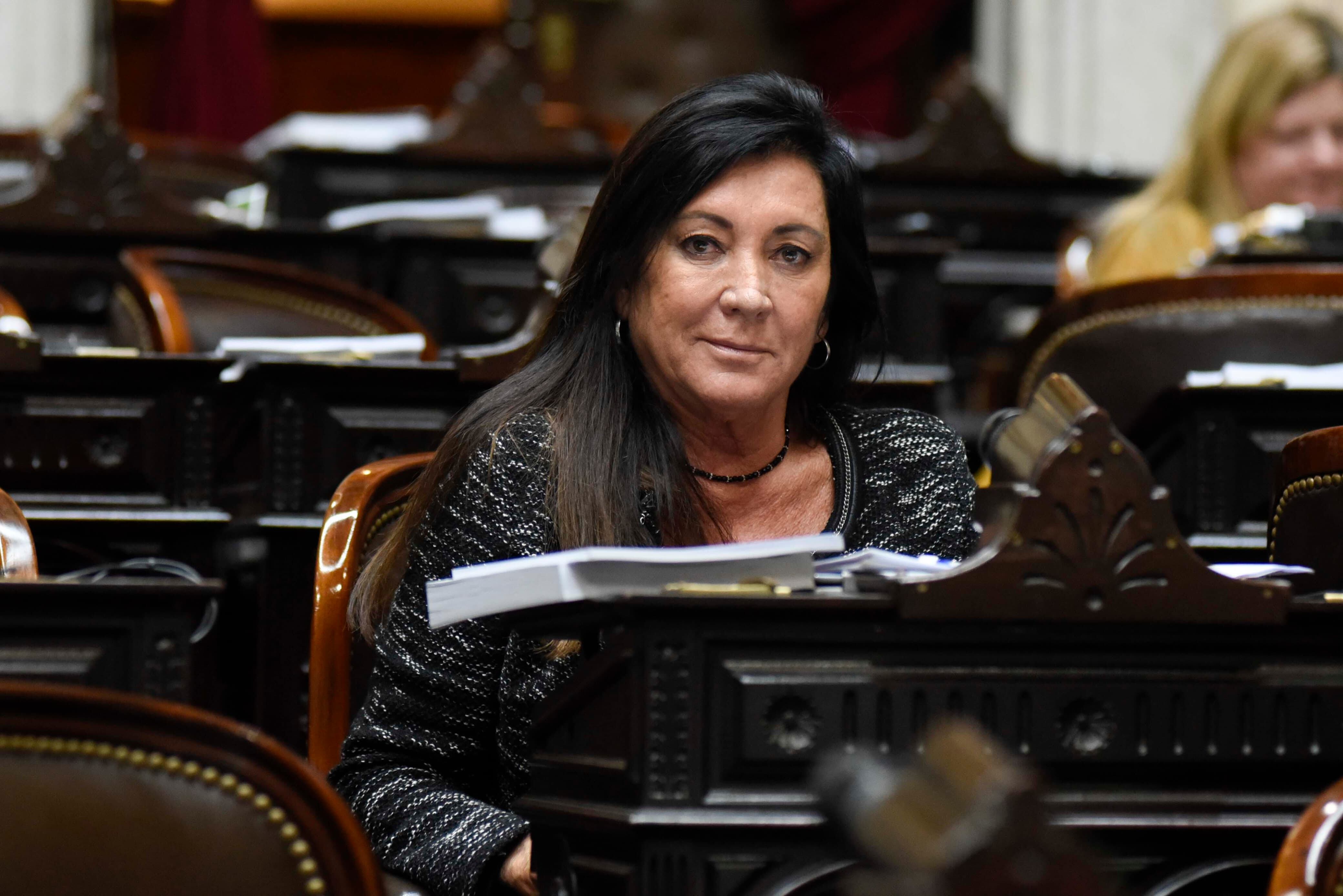 La diputada del PRO y presidenta de la Comisión de Legislación Penal, Laura Rodríguez Machado