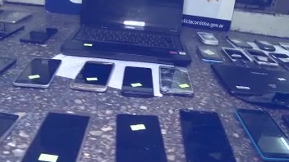Video: así fue el allanamiento de la Galería Norte de Córdoba en el recuperaron 50 celulares robados