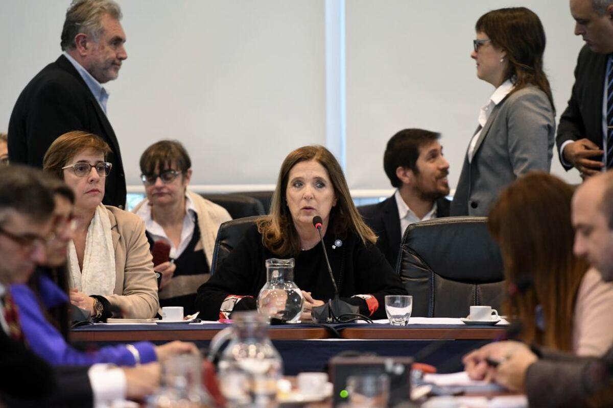 Polémica con Pfizer: la oposición presentó un proyecto que podría destrabar la negociación