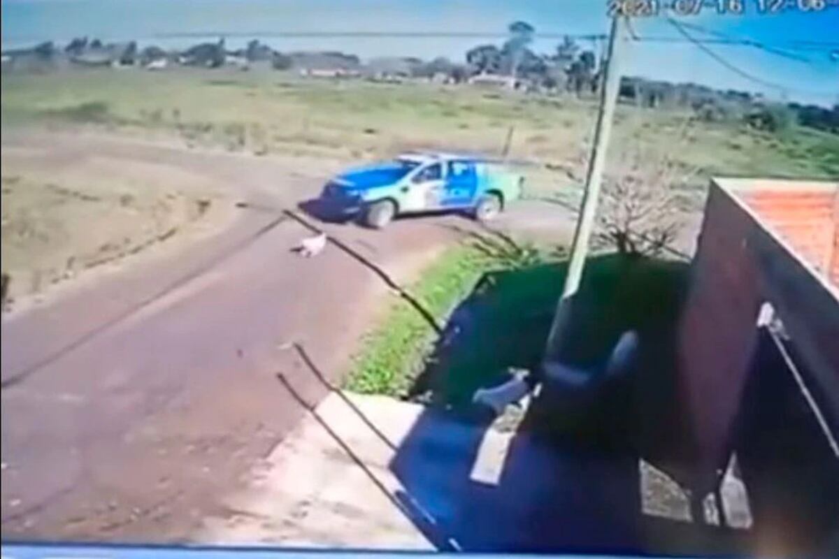 Qué pasará con el policía que atropelló a “Lobo”, el perro que murió en Corrientes