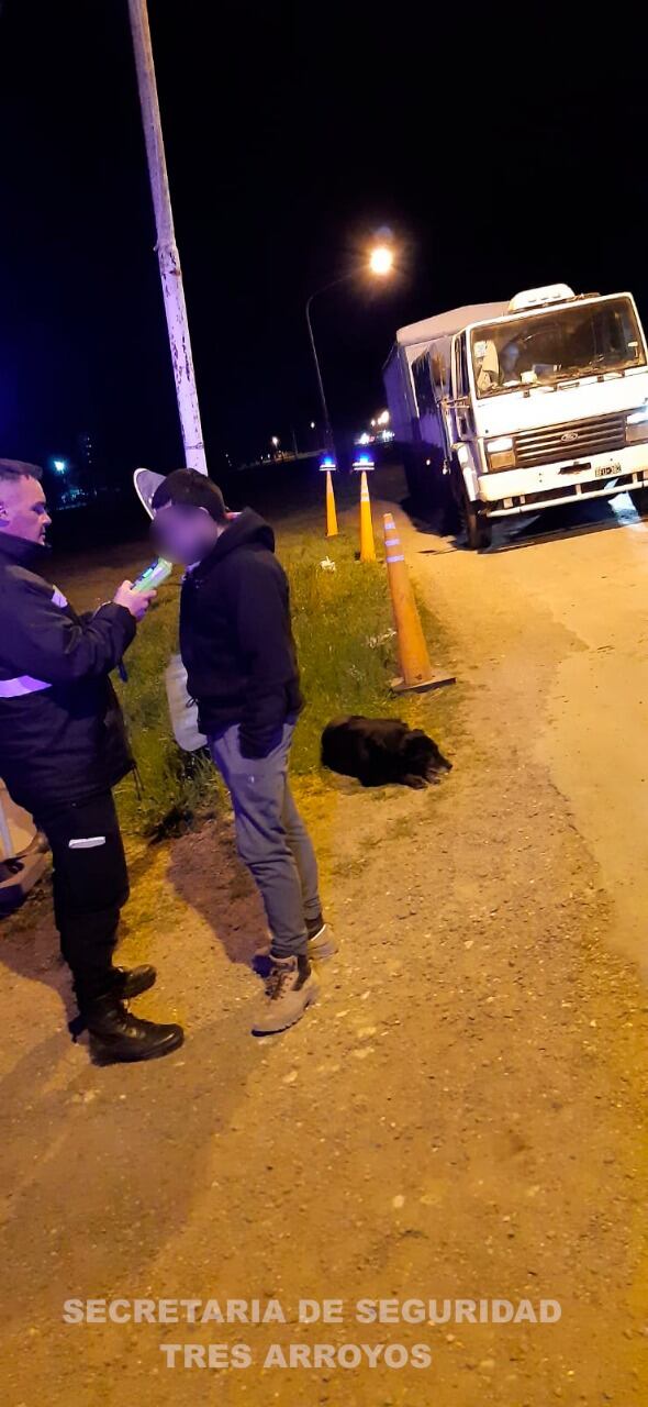 161 infracciones de tránsito en Tres Arroyos en los últimos tres días