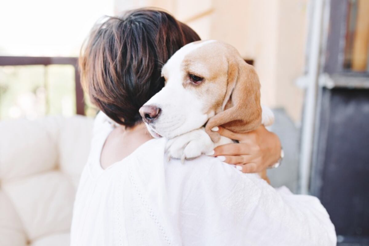 Viral: Un perro callejero lloró de la felicidad cuando un extraño le dio de comer