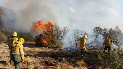 Intenso combate de incendio en Mallín Cumé, en el límite entre Chubut y Río Negro.