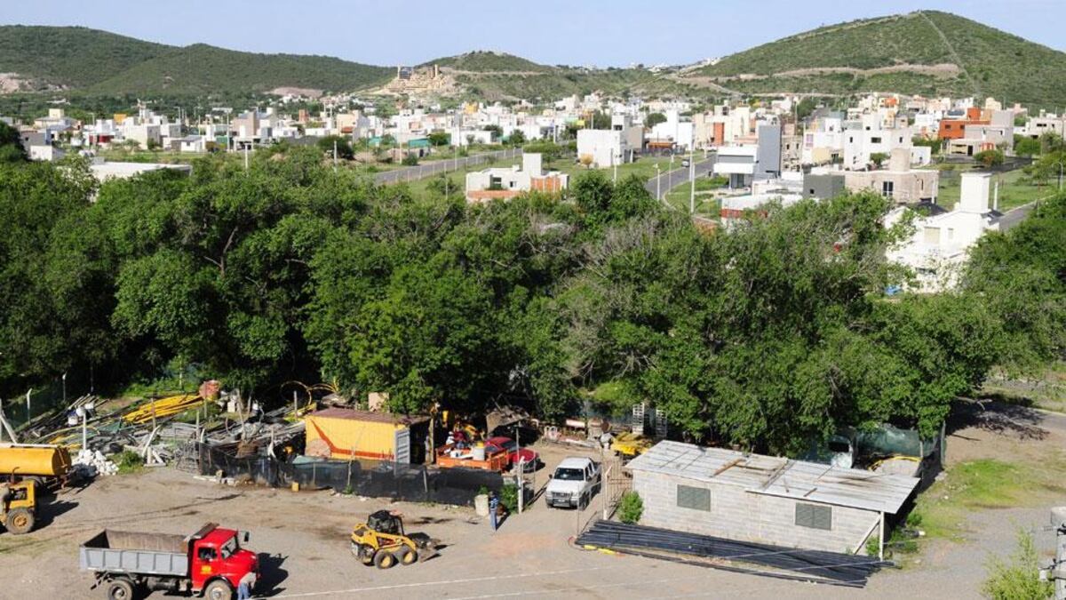 Córdoba: por defenderla de un delincuente, baleó a una vecina