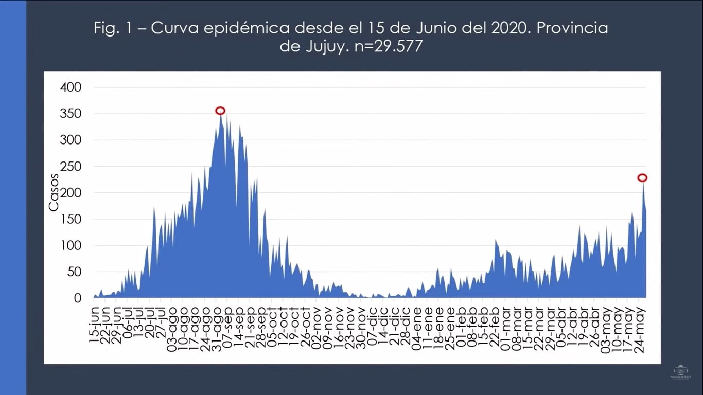 Curva epidémica que muestra la evolución de la pandemia en Jujuy desde junio del año pasado hasta el 24 de mayo último, donde se destacan el pico máximo de 357 casos detectados en un solo día -el 3 de septiembre de 2020-, el marcado descenso que llegó a solo 8 a 10 casos por día en los meses de noviembre y diciembre, y otro pico de 278 casos registrado la semana pasada. El gráfico no incluye la marca de 289 casos reportados el lunes último.