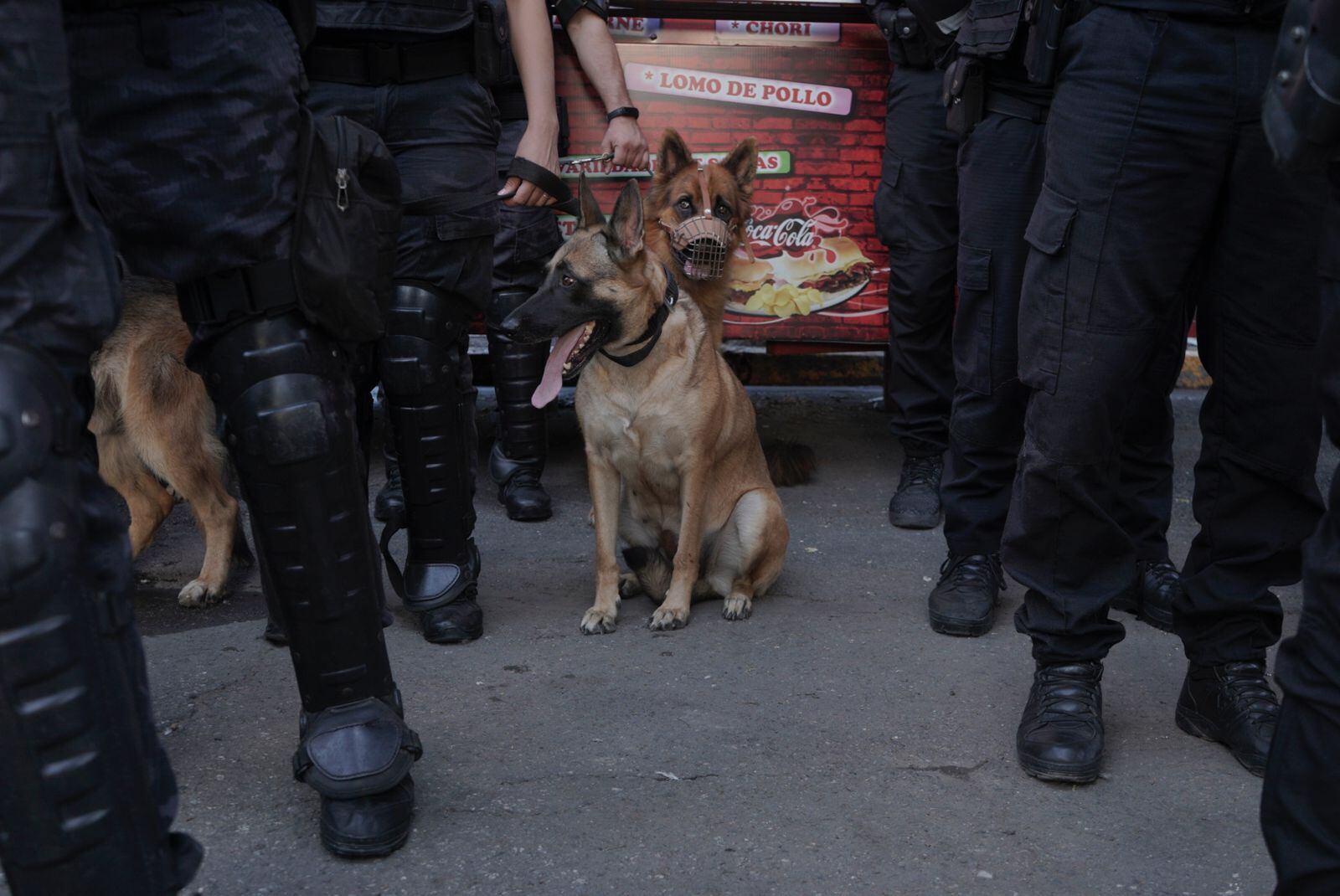 Efectivos. (Policía)