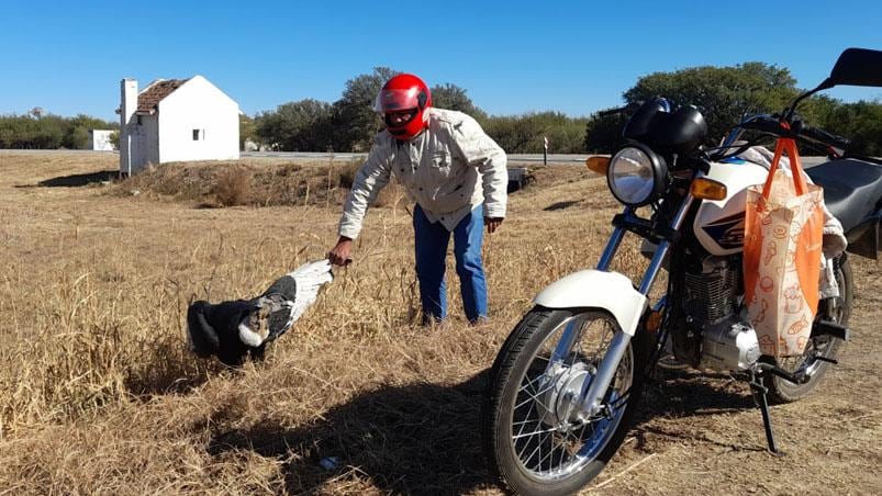 Una pareja de motociclistas frenó en la ruta y cargaron al animal, para intentar llevarlo a una veterinaria.