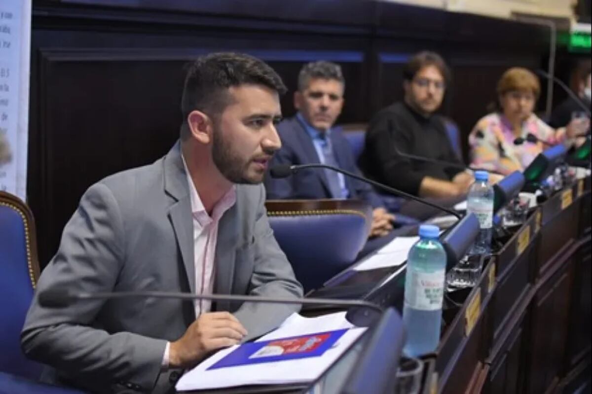 Hospitales públicos pagos para extranjeros: el polémico proyecto de un legislador aliado de Javier Milei
