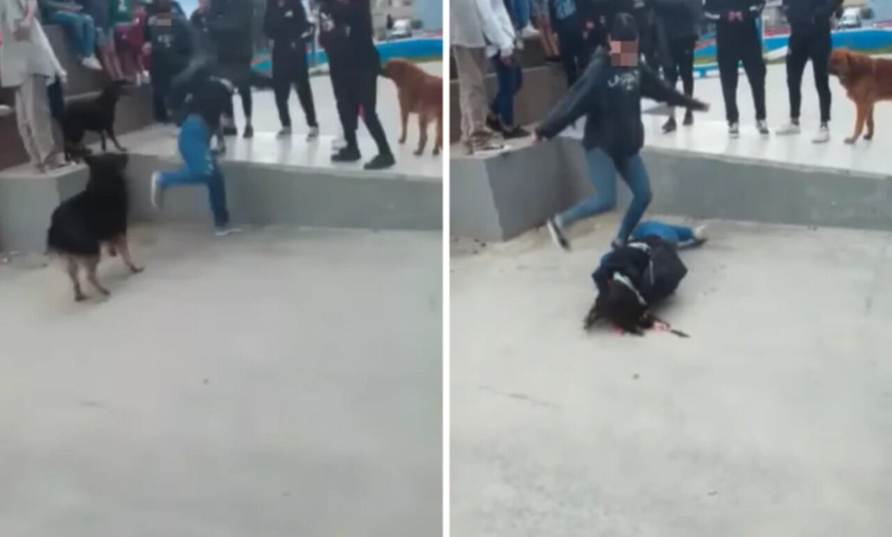 Una nena de 12 años fue brutalmente golpeada por otra niña en una plaza de Comodoro Rivadavia.