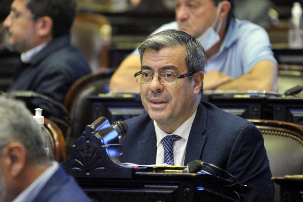 Germán Martínez se refirió al acuerdo con el FMI: “Trataré de convencer a mis compañeros”