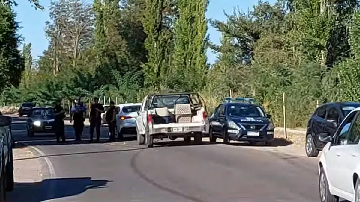 Habló el dueño del niño atacado por perros en Rivadavia: “maldigo la hora en que se me ocurrió abrirles la puerta a los perros”