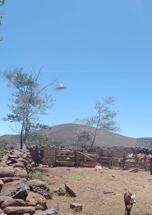 Quiso fotografiar a su padre, pero también capturó un OVNI.