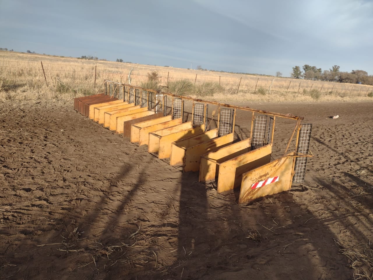 La Policía secuestró las gateras de la carrera de galgos en Canals.