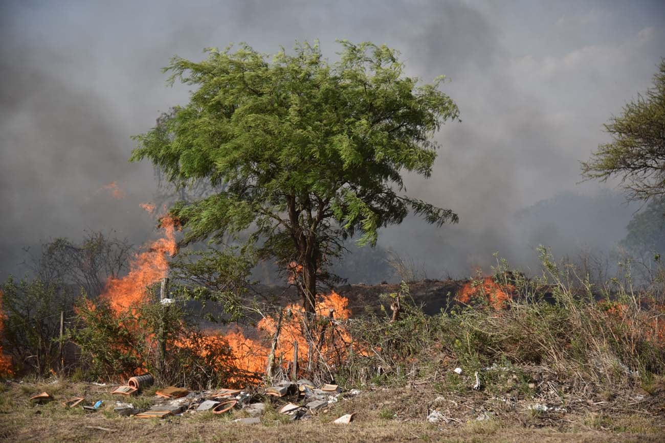 Los incendios no dan tregua en Córdoba (Facundo Luque / La Voz).