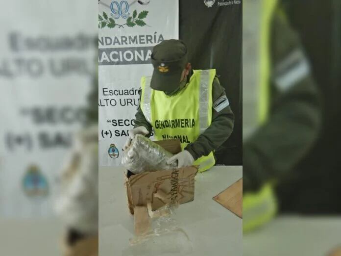 Partió desde Puerto Iguazú un ómnibus de larga distancia con marihuana.