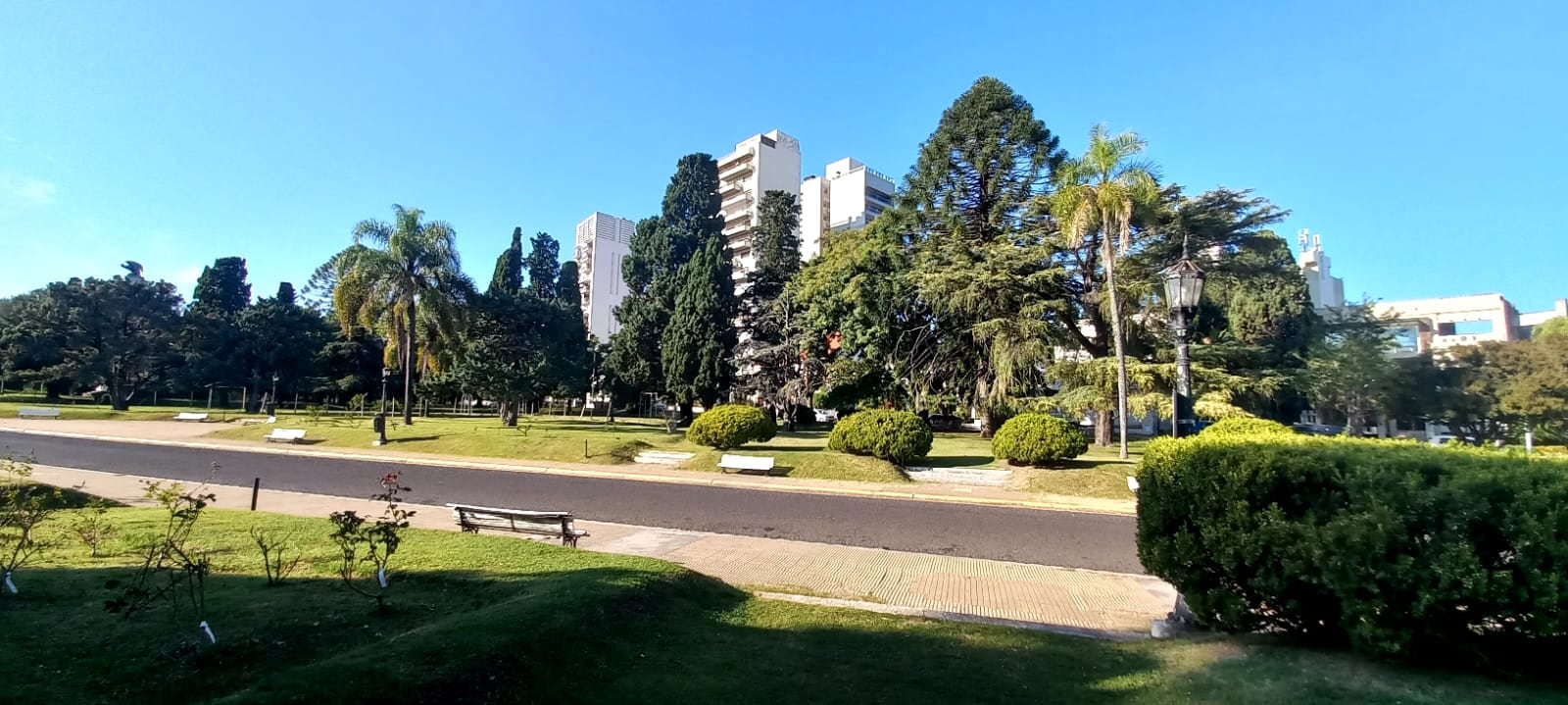 Invierno atípico en Paraná