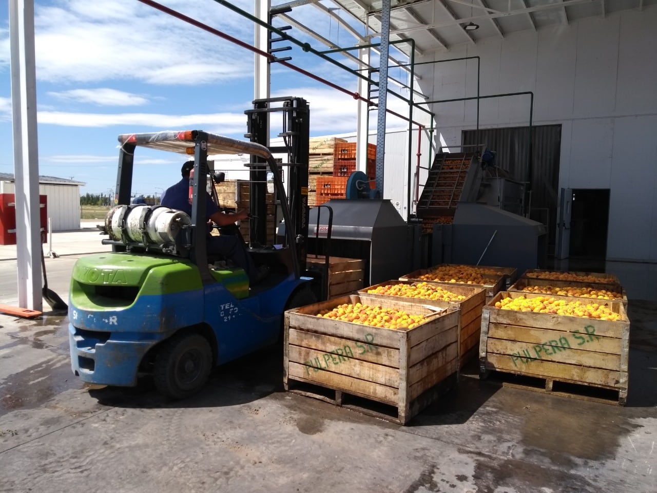 La Pulpera inició la temporada con el damasco y seguirá con durazno. 