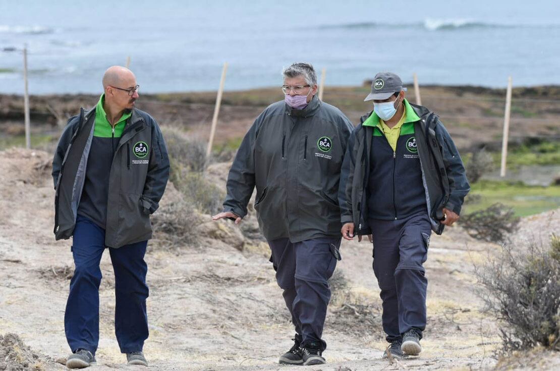 El operativo en Chubut. (Prensa del Ministerio de Ambiente y Desarrollo Sostenible/Télam)