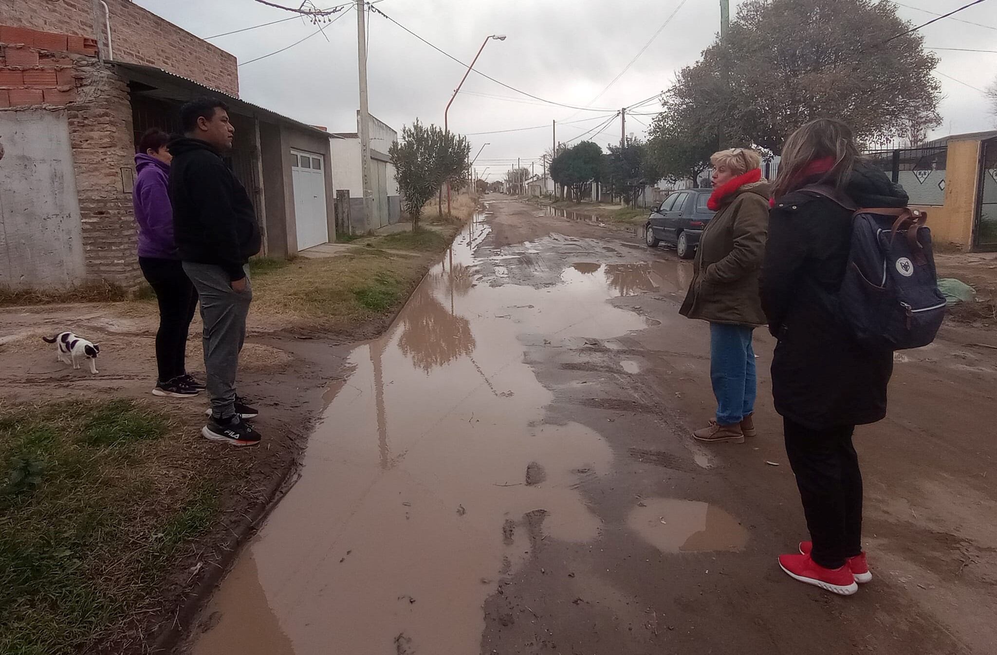 "Necesitamos terminar con gente que integren espacios pensando en sus bolsillos , en posicionarse políticamente y que nunca recorrieron los barrios" (Liliana García).