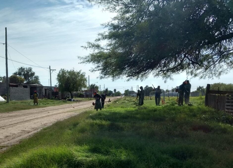 La campaña incluye limpieza de espacios públicos, terrenos y patios de viviendas.