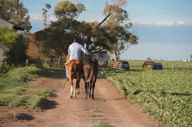 El Ejecutivo analiza la posibilidad de bajar las retenciones al campo