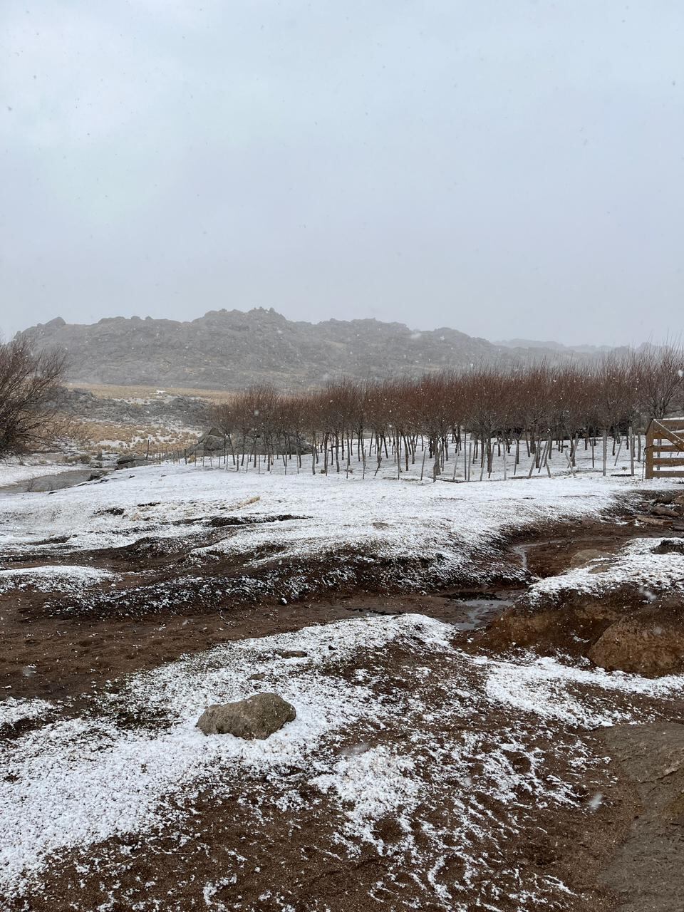 Nevada en el cerro Champaquí. (Gentileza: Pablo Castro)