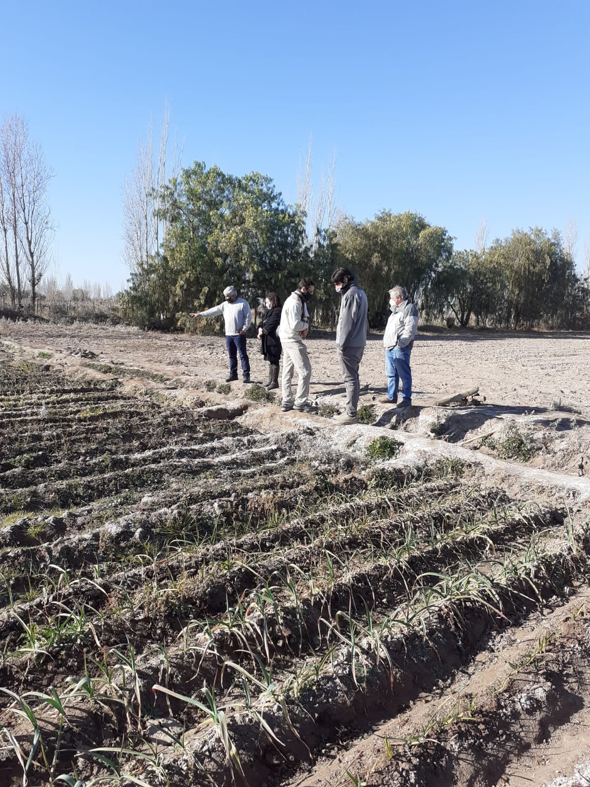 La escuela cuenta con un terreno agrícola de una hectárea y media presto a producir frutas, horículturas y aromáticas.