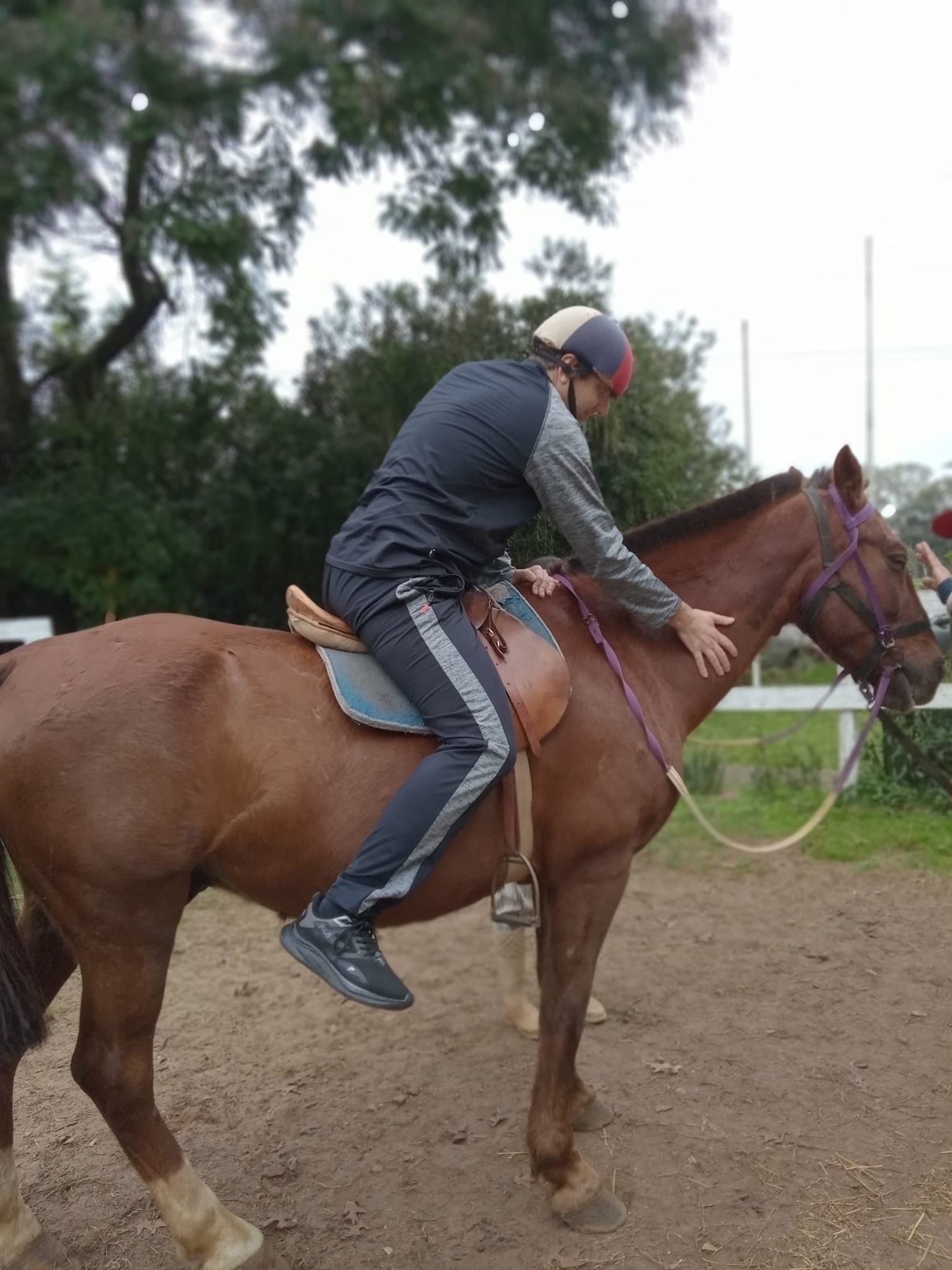 Niños y jóvenes disfrutan del contacto con  los caballos.