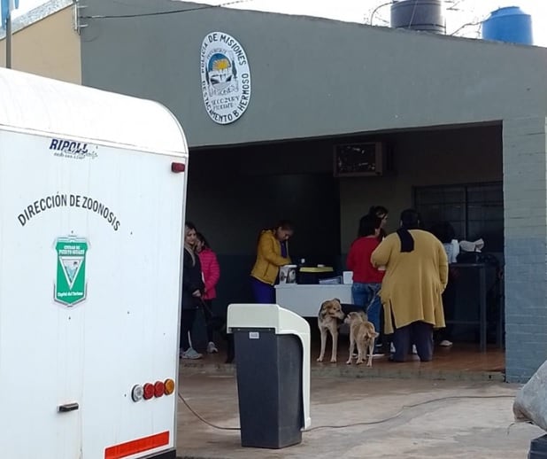 Realizaron varias actividades en Puerto Iguazú.