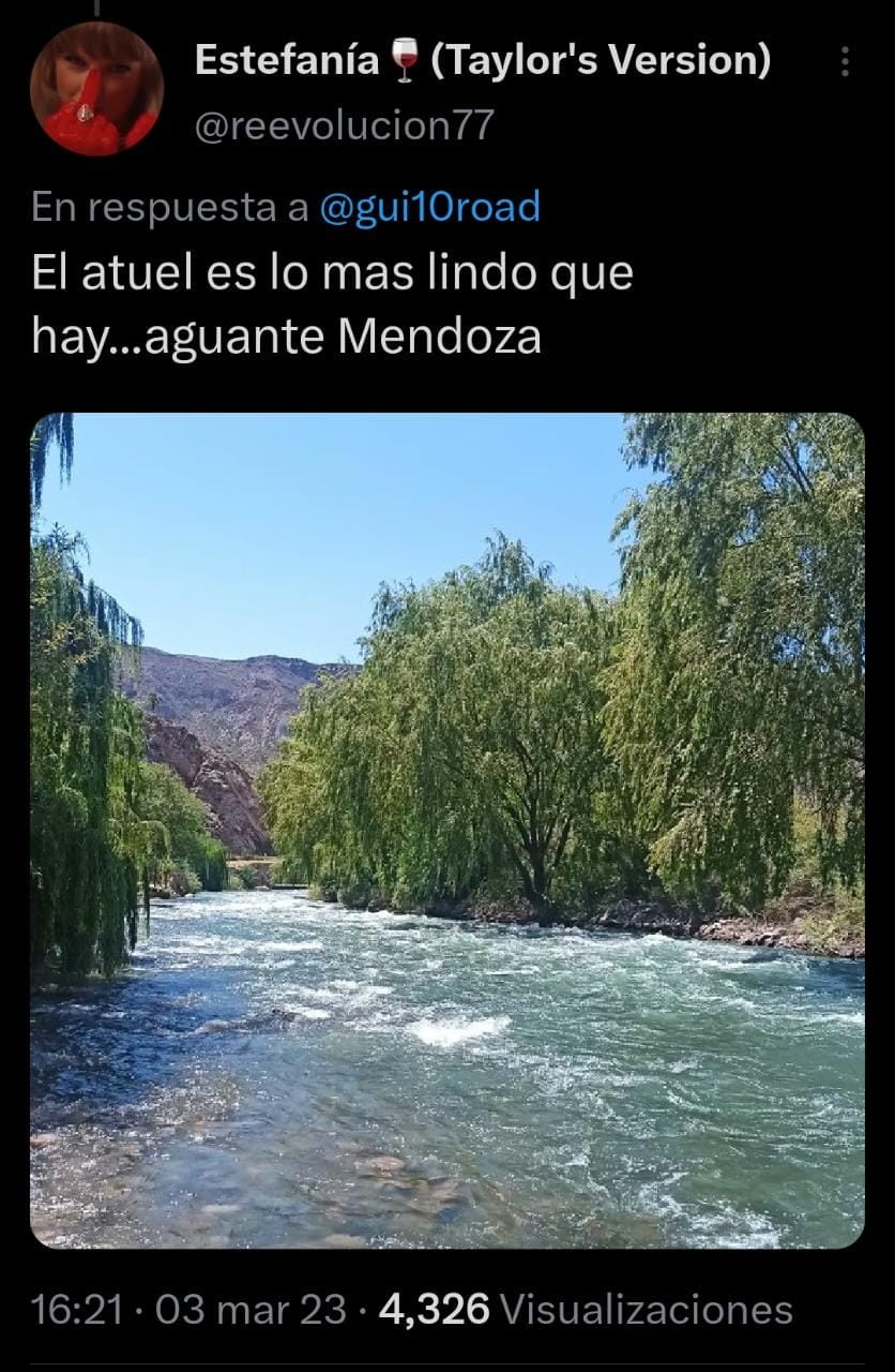 Comentarios de los usuarios ante el imponente paisaje en el sur mendocino