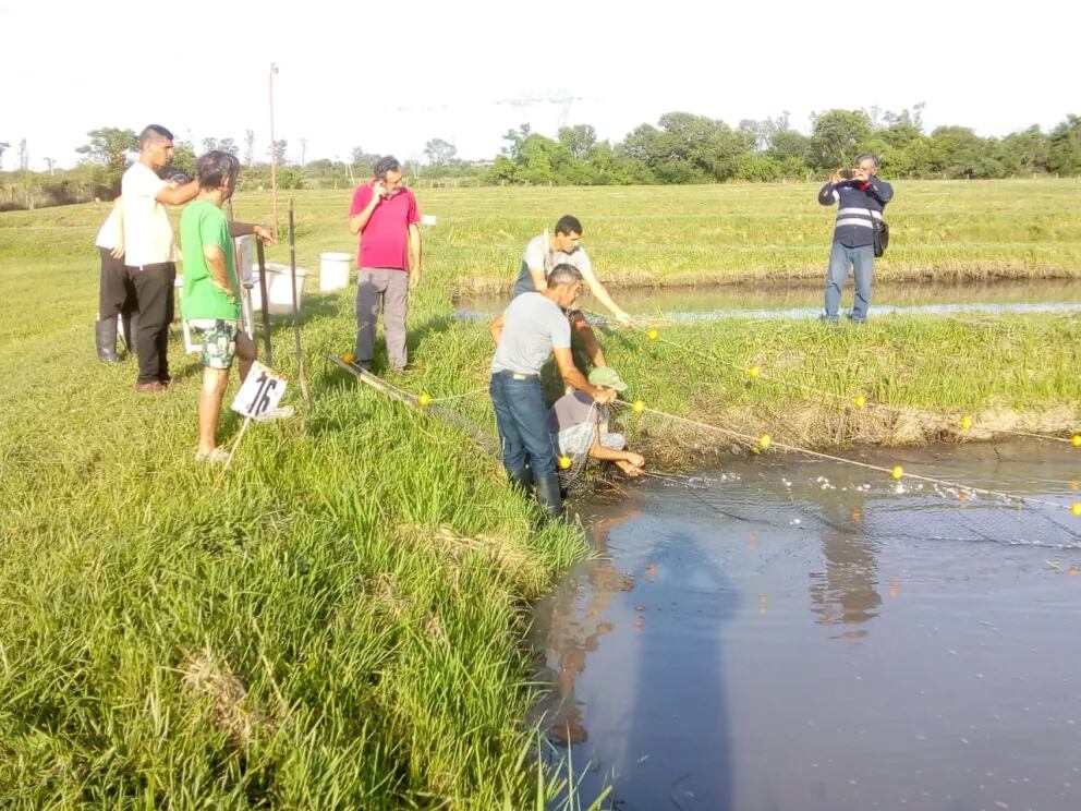 Capacitación en producción acuícola en la comunidad Yryapú.