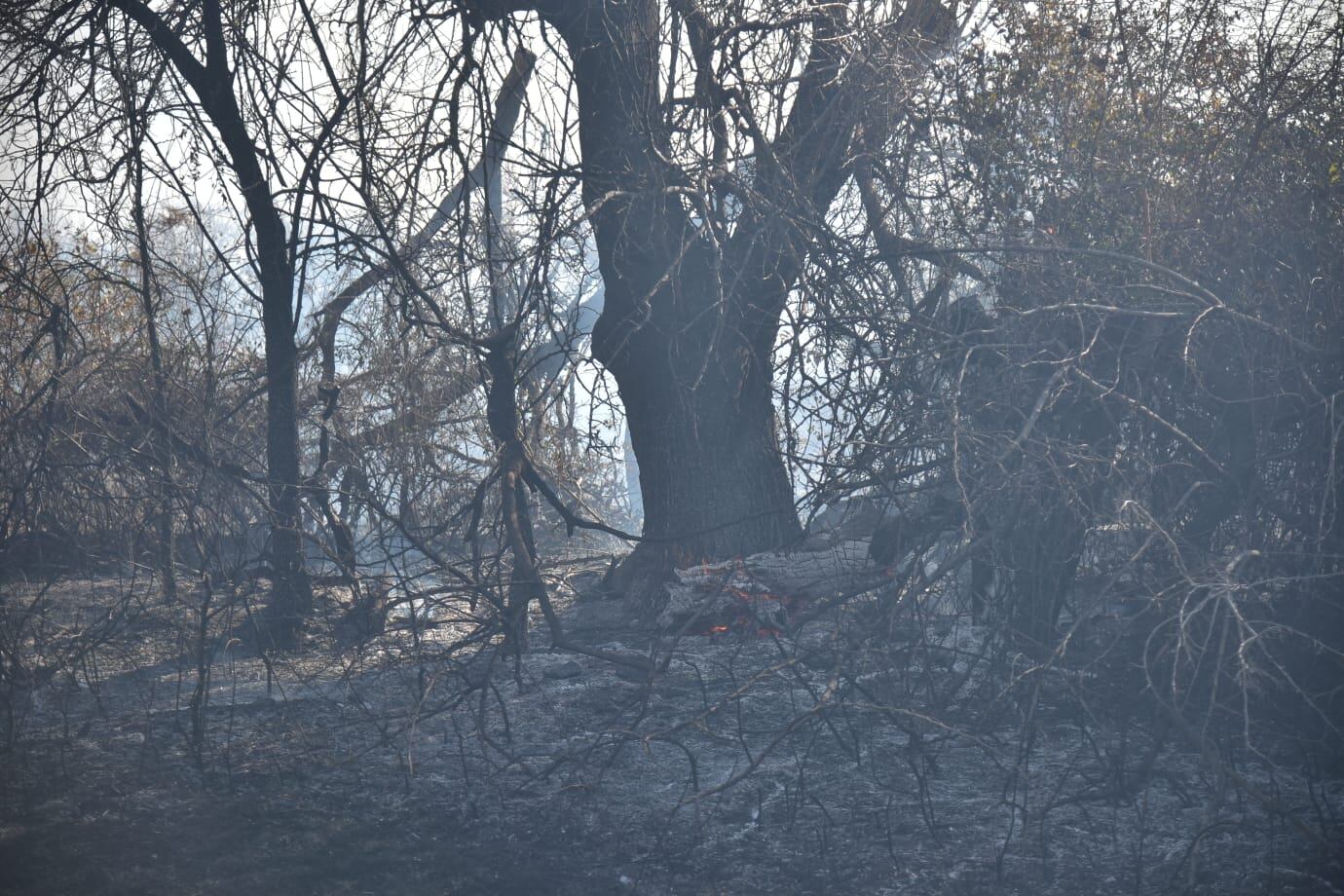 Incendio en cercanías de la ruta E-53. (Facundo Luque/La Voz)