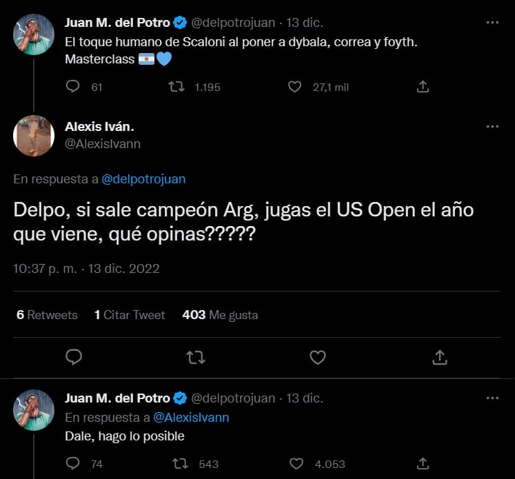 Así fue la promesa que hizo Del Potro si ganaba la Copa Del Mundo