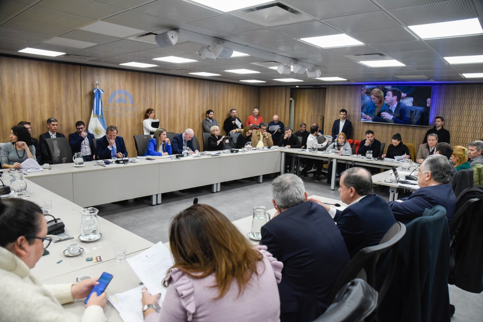 Los proyectos se debatieron en la Comisión de Peticiones, Poderes y Reglamento (Foto: HCDN)