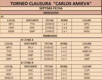 Resultados Vóley A1