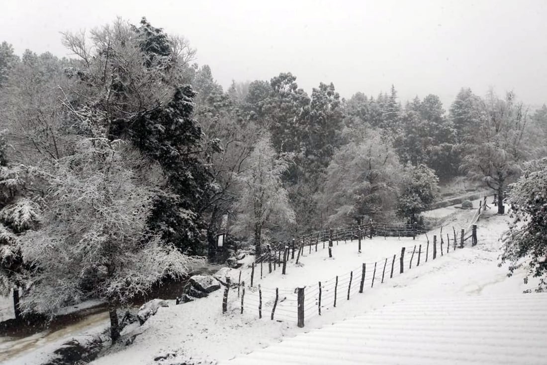 El valle de Calamuchita amaneció bajo un manto blanco (gentileza Nelio Escalante)