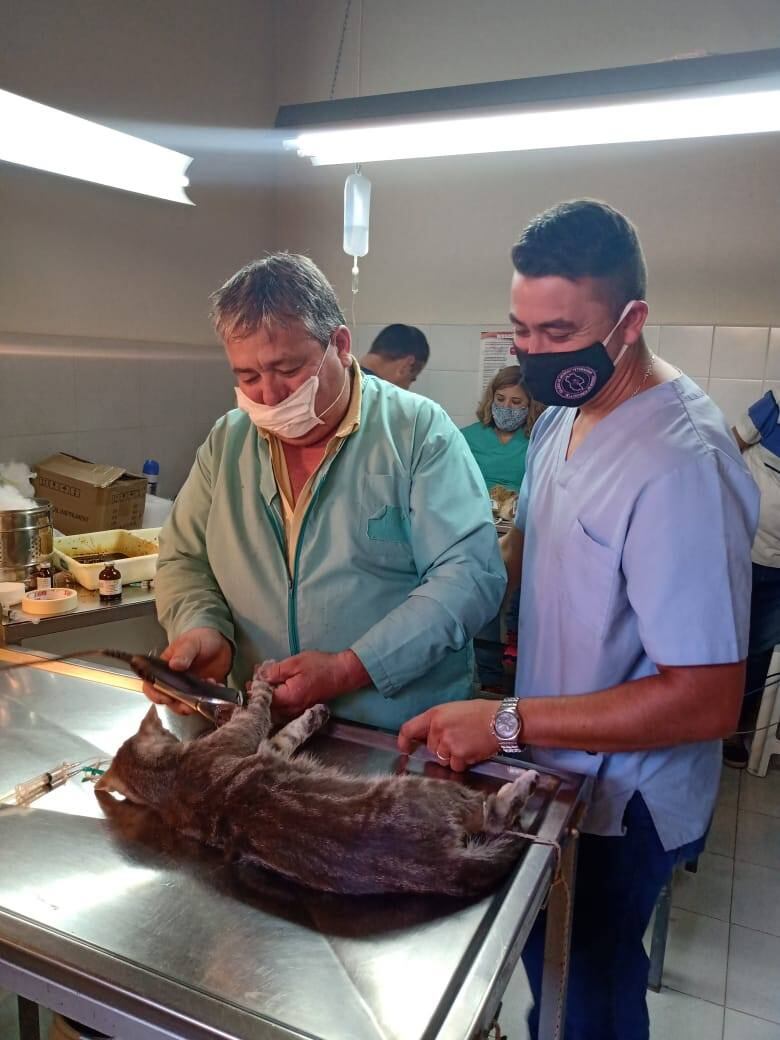 Dos firmas interesadas en construir nuevos caniles y el edificio para Veterinaria en San Rafael.