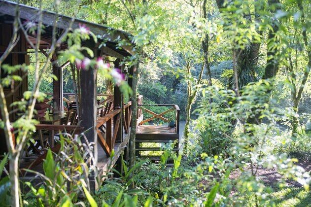 Conocé Margay Lodge en los Saltos del Moconá: el destino turístico que no vas a poder dejar de admirar.