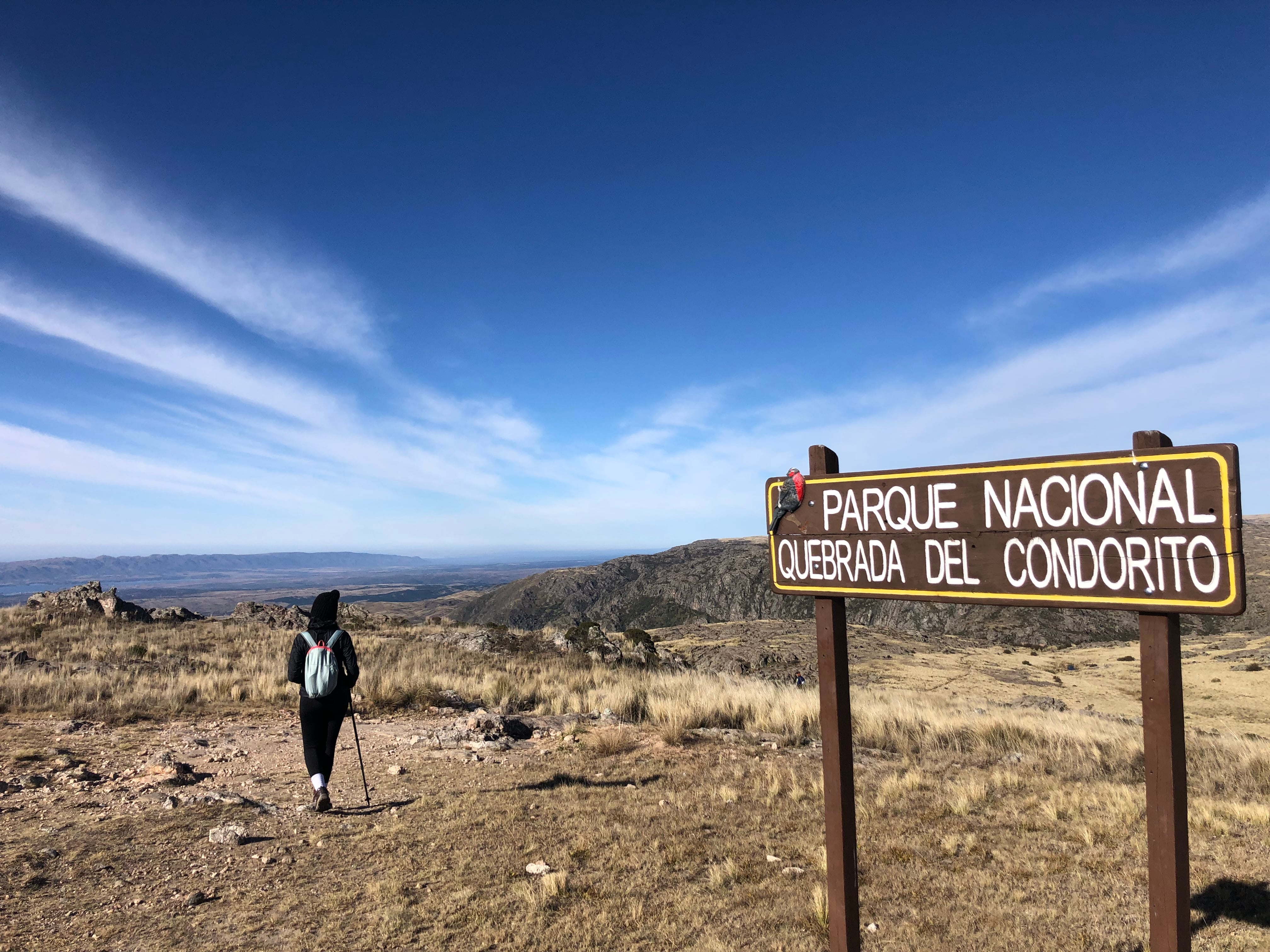 La mujer murió a la altura del ingreso al Parque Nacional Quebrada del Condorito. 