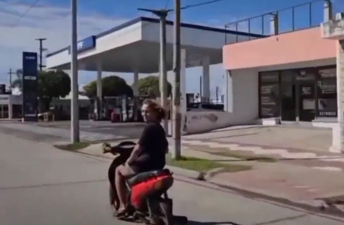Viral cordobés: viajó en su moto con un particular acompañante y sorprendió a los demás conductores