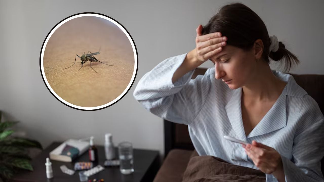 Los síntomas incluyen fiebre, dolor de cuerpo, de ojos, sangrado de nariz, decaimiento, entre otros. 