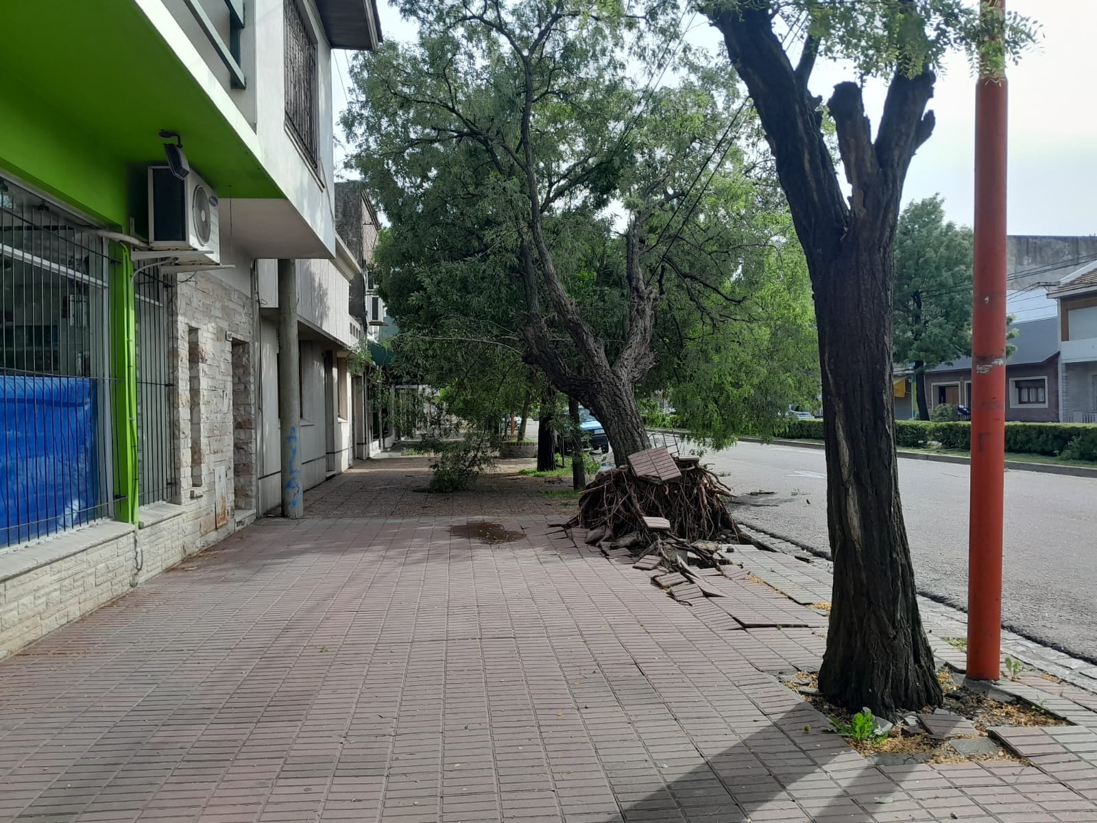 Temporal en Tres Arroyos: evacuados, árboles  caídos, techos volados y daños