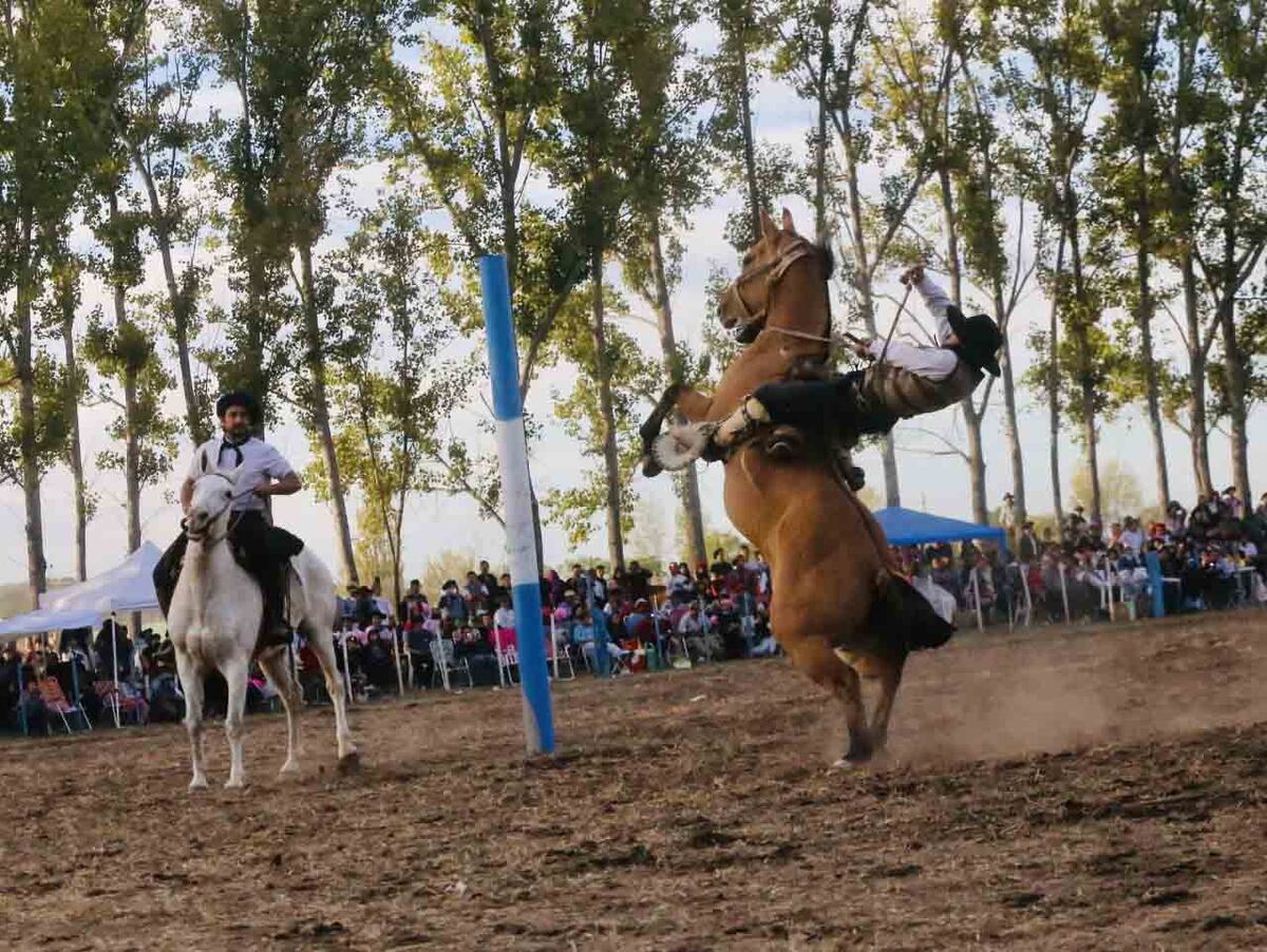 El sábado 16 se realiza la “32° Fiesta de la Tradición Gaucha” en Arroyito en el predio del Atahualpa Yupanqui
