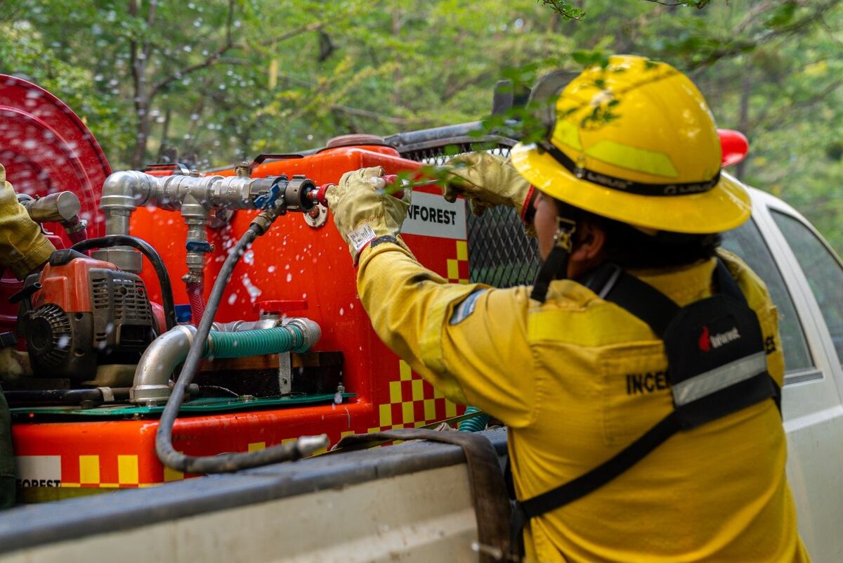 Estado de situación de los incendios en la Provincia
