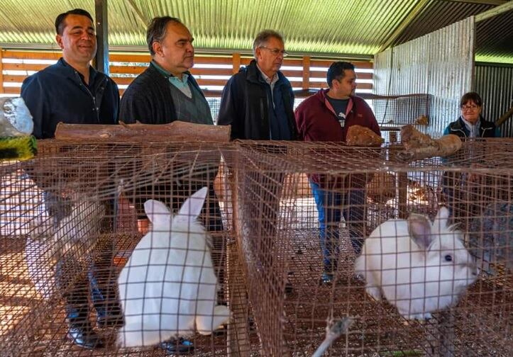 Reunión entre autoridades del IFAI y productores en Bernardo de Irigoyen.