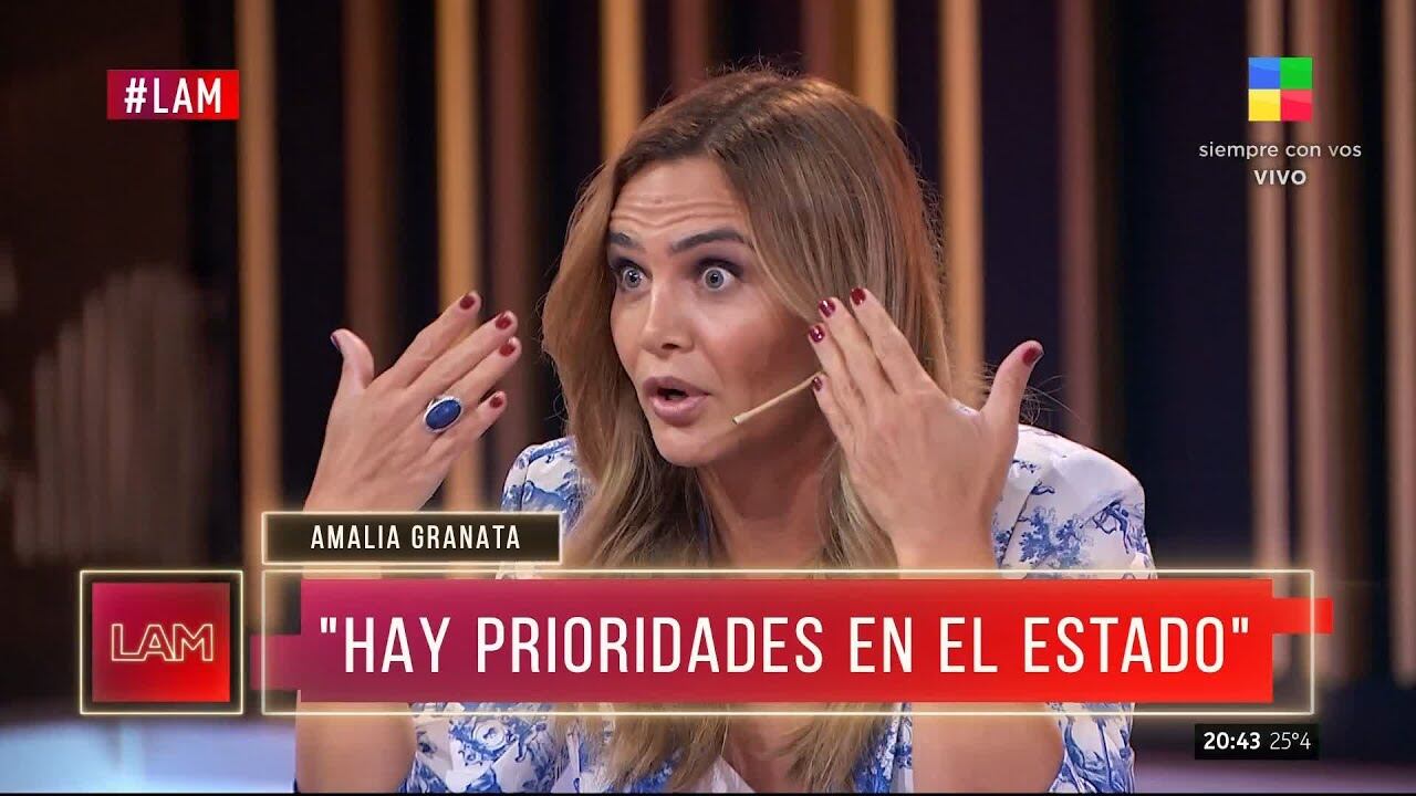 "El trans no es incapacitado por ser trans", dijo Amalia Granata.