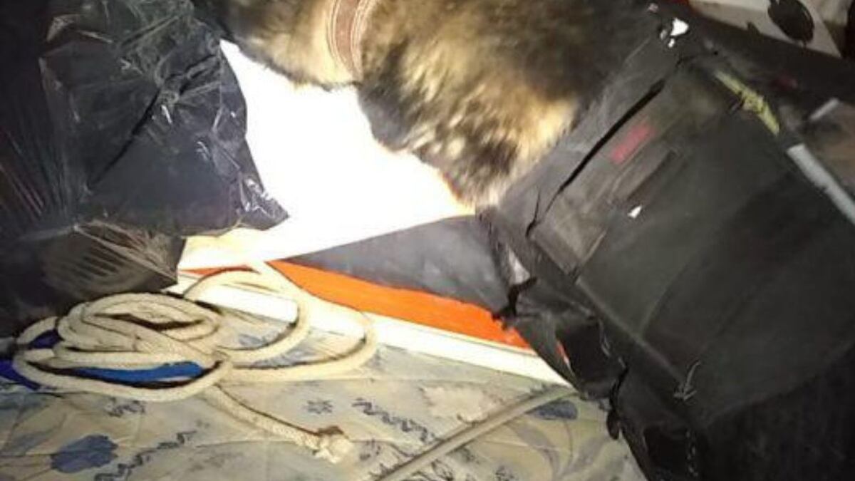 Córdoba: encontraron más de 1500 dosis de marihuana entre los colchones